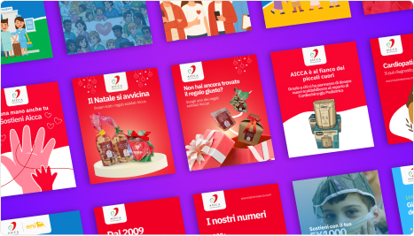 Pagina donazioni e raccolta fondi AICCA