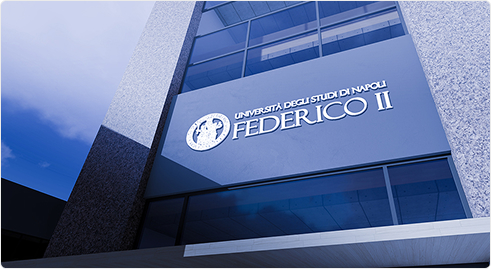 Homepage del sito DICMaPI Università Federico II di Napoli